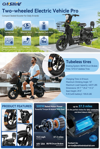 lot 9017 image: Onshine Two-Wheeled Electric Vehicle Pro    OSEV-48pro