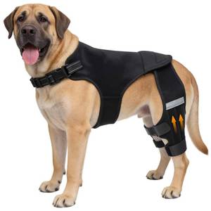 lot 32774 image: ALYBIT Dog Knee Braces for Torn ACL Hind Leg, Adjustable Dog Leg Braces for Back Leg with 4 Stabilizers for Luxating Patella Relieves Ligament Injury and Joint Pain