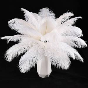 lot 33482 image: THARAHT White Ostrich Feathers Natural Bulk 8-10Inch 20cm-25cm for Crafts Wedding Party Centerpieces Christmas Tree Decoration Feathers - Retail $10