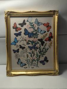 lot 714216 image: Butterfly and Floral Scientific Illustration in Ornate Gold Frame