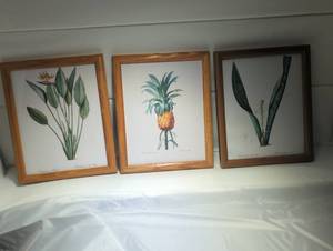 lot 714217 image: Botanical Print Set Tropical Plants Wood Frames