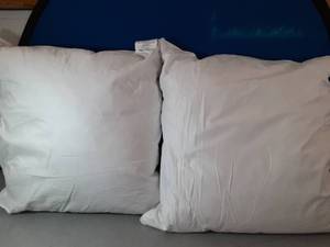lot 174 image: 20x20 Pillow Inserts Two Pack - Retail $0