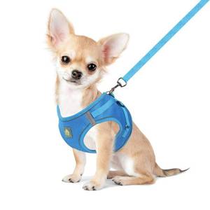 lot 194 image: FEimaX Dog Harness and Leash Set, No Pull Breathable Soft Mesh Puppy Vest Harness Reflective Adjustable Pet Harnesses for Small Medium Dogs and Cats - Outdoor Easy Control for Walking - Retail $8