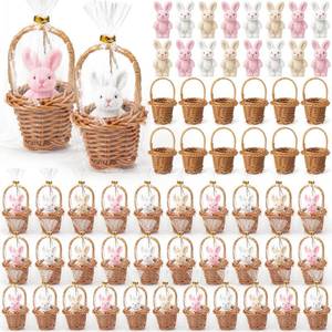 lot 247 image: Seenelling 24 Set 72 Pcs Easter Gifts Bulk, Mini Easter Bunny Plush with Mini Wicker Basket, 2.4 in Stuffed Rabbit with 3.1 in Woven Basket, Bunny Party Favor, Team Appreciation Gift - Retail $40