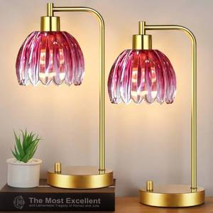lot 299 image: ILLMTW Pink Table Lamp Set of 2,Small Gold Bedside Lamps Dimmable Boho Bedroom Lamp with Tulip Flower Glass Lamp Shade,Vintage Mid Century Modern Mini Nightstand Lamp for Kids Bedroom Living Room - Retail $52