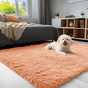 lot 412 image: OLANLY 3x5 Machine Washable Small Bedside Rug, Soft Fluffy Shaggy Rugs for Living Room, Bedroom, Indoor Floor Carpet for Kids Girls and Boys, Preppy Dorms, Nursery, Home Decor Aesthetic, Muted Orange - Retail $30