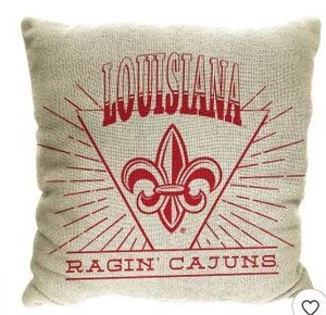 lot 13673 image: NCAA Louisiana Ragin Cajuns 26 x 26 Woven Tapestry Pillow, 2 Pack