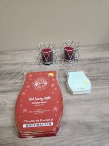 lot 574 image: Scentsy Wax Melts with Wire Geometric Tealight Holders Set