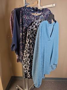 lot 1117 image: FIve womens XXL and 2X tops