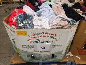 lot 197813 image: Pallet of Various Sizes of Clothing