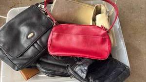 lot 51924 image: Mixed Lot of Womens Handbags and Purses - Retail $15