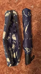lot 51960 image: Compact Umbrella with Carrying Case - Retail $15