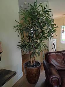 lot 912 image: 7ft to 8ft. Faux Tree    Base is 20 x 20 VERY HEAVY. Will require equipment to remove.