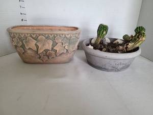 lot 1082 image: Flowerpots with small cactus plants