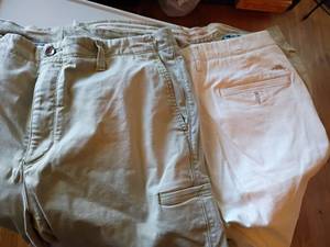 lot 1628 image: Mens Tommy Bahama Shorts.   Size 38 and 40