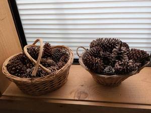 lot 38 image: Natural Pine Cone Collection in Wicker Baskets
