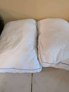 lot 99 image: White Down Pillow Set