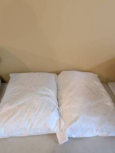 lot 100 image: Two bed pillows