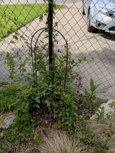 lot 445 image: Metal Garden Plant Support Cage with Central Post