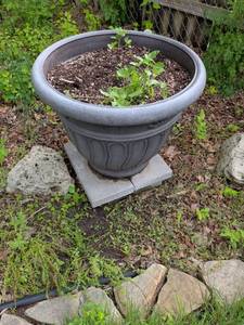 lot 446 image: Large Gray plastic Decorative Garden Planter