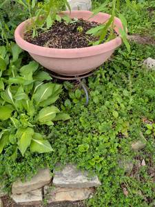 lot 449 image: Garden Planter with Saucer