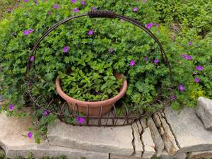 lot 454 image: Wire Garden Basket with Planter