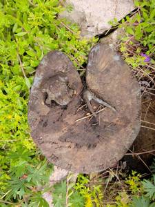 lot 457 image: Metal frog on a lily pad