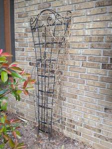 lot 480 image: Black Metal Garden Trellis with Decorative Scrollwork
