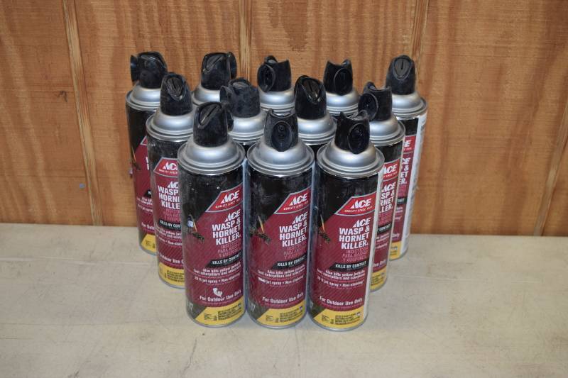 lot 411 image: 12 Cans Ace Wasp and Hornet Killer