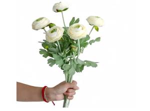 lot 36837 image: 5Pcs 19.6 Artificial Ranunculus Flowers Real Touch Stem Ranunculus Artificial Flower Silk Flower for Arrangements Centerpiece Table Home Wedding Bouquet Party (White) - Retail $16