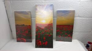 lot 18 image: Red Poppy Field Sunset Canvas Print Set with Wooden Frames