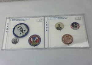 lot 113 image: Presidential Campaign Button Collection in Display Cases 1904 & 1908