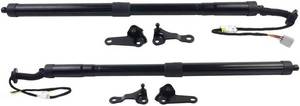 lot 361418 image: Retails for $425 Tailgate Struts Rear Compatible with 2015-2016 Lexus NX200t NX300h 2.0L 2.5L L4 68920-79016 68910-79016 6892079016 6891079016(PAIR)