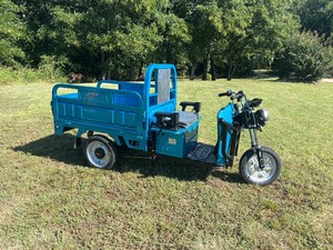 lot 5050 image: Unused SDLANCH Electric Tricycle (IRET13)  First come First Serve on Color Selection - Various Colors