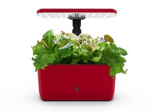lot 22344 image: AeroGarden Harvest Lite in Cherry Red, Soil-Free Indoor Hydroponic Garden with LED Grow Light for Year-Round Gardening of up to 6 Herbs and Vegetables - Retail $98