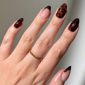 lot 30110 image: Glamnetic x GLAMZILLA Press On Nails - KILLAZILLA  Short Almond Tortoiseshell Fake Nails with French Tips, Salon Quality  15 Sizes - 30 Nail Kit with Glue - Retail $18