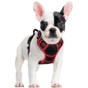 lot 30123 image: rabbitgoo Dog Harness No Pull with 2 Leash Clips, Adjustable Soft Padded, Reflective Oxford No Choke Pet Vest with Easy Control Handle for Small Dogs, Black & Red, S - Retail $26