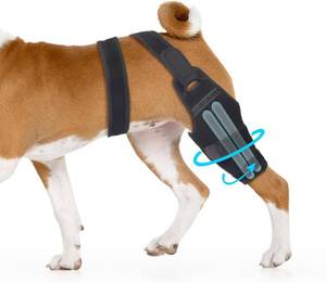 lot 4922 image: $50 Dog Knee Brace for ACL Injury Recovery, Rear Stability (Left, XL)
