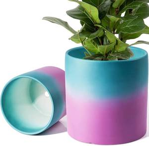 lot 6917 image: 2 Pack Ceramic Planter Pot 6.75.5 Inch Color Gradient Matte Glaze Finish Plant Gift Flower pots for Indoor & Outdoor Plants, with Drainage Hole, Mesh Pads