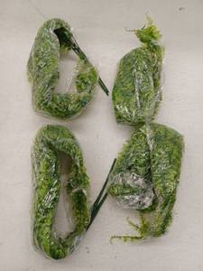 lot 13758 image: Wixolbo Artificial Ivy Plant