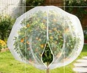 lot 13835 image: Tree Netting Cover, 2 Pack