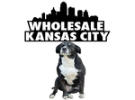 *** PLEASE READ THIS LOT DESCRIPTION BEFORE YOU BID! ***