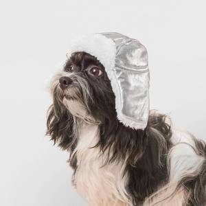 lot 3979 image: Silver Trapper Dog Hat - Boots & Barkley XXSXS