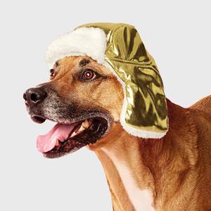 lot 4087 image: Gold Trapper Dog Hat - Boots & Barkley LXL
