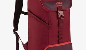 lot 20944 image: Nike LeBron Ambassador Max Air backpack