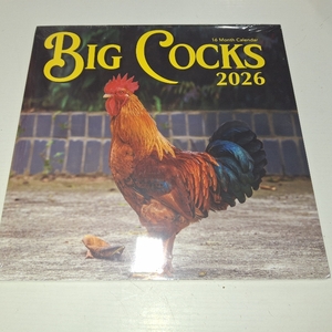 lot 7693 image: BIG COCKS 2026 16 MONTH CALENDAR