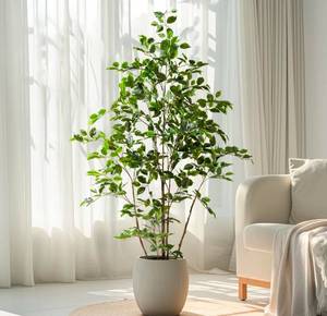 lot 20814 image: Bailikang Artificial Ficus Tree Indoor 5ft, Large Potted Faux Tree with Realistic Silk Leaves & Trunk for Home Office, Living Room Corner Decor - Retail $99