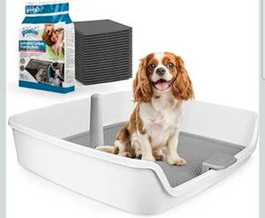 lot 20896 image: ALL FOR PAWS Dog Pee Pad Holder with Removable Post, 23.6 Indoor Dog Potty Training Tray, Puppy Toilet Litter Box for Small to Medium Sized Dogs - Retail $67