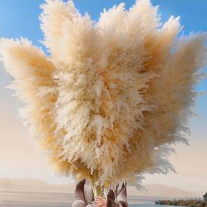 lot 20984 image: 24 pc Tall Pampas Grass Decoration - Pasuvsigt 40 Inch Large Pampas Grass Dried Flower Decoration,for Bohemian Style Living Room Decoration, Wedding Decoration, Party, Farmhouse Decoration - Retail $31