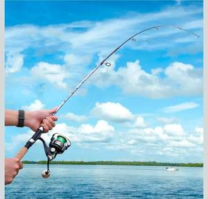 lot 21012 image: Sougayilang Spinning & Casting Rods, Strong Carbon&Glass Composite Fishing Rod with Stainless Steel Line Guides for Bass, Trout, Panfish, Catfish - Retail $0